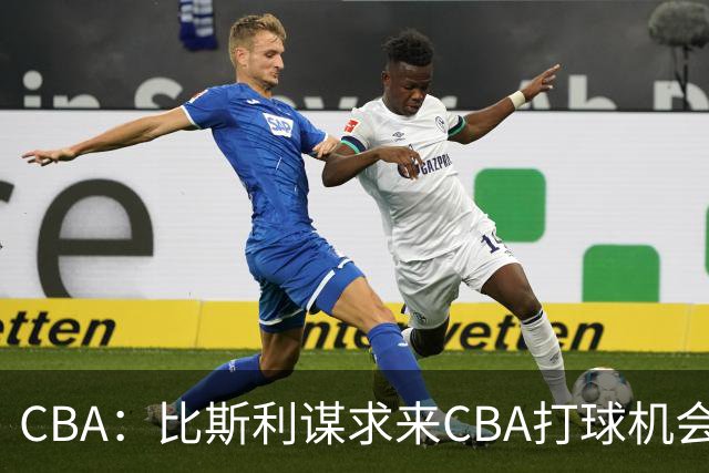 CBA：比斯利谋求来CBA打球机会，深圳男篮官宣主教练，广东男篮小外援最新消息，杨瀚森月中回归中国男篮
